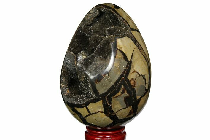 Septarian Dragon Egg Geode - Black Crystals #157892